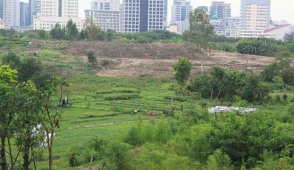 Một lô đất nông nghiệp trên địa bàn quận Nam Từ Liêm 
