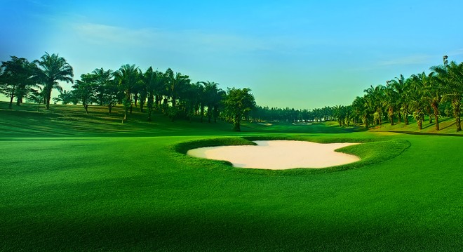 FLC xin xây sân golf 18 lỗ ở Bình Định