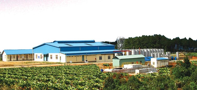 Nhà máy sản xuất rượu vang với quy mô lớn của VDL