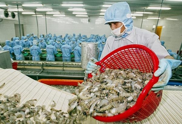 Công ty cổ phần Thủy hải sản Việt Nhật (VNH) tuy hoạt động bết bát nhưng vẫn cho vay “ân tình” tới 15,22 tỷ đồng