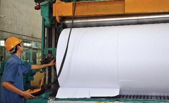 Sojitz dời dự án bột giấy từ Quảng Ngãi về Quảng Ninh?