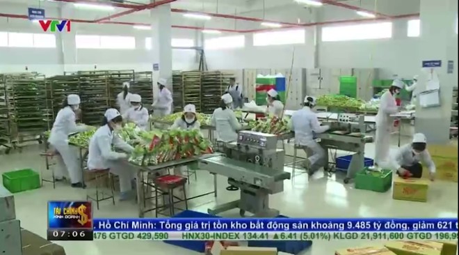 Doanh nghiệp bánh kẹo Việt tìm chiến lược hội nhập