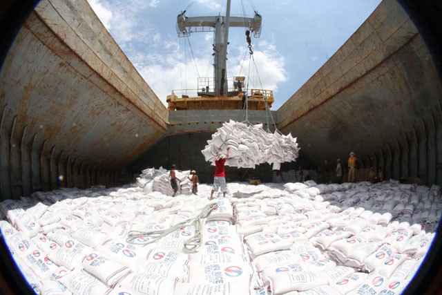 Lượng gạo xuất khẩu gạo giảm mạnh 