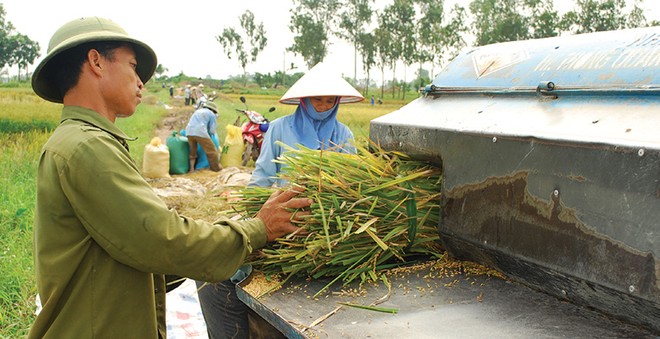 Việc cần làm là giải quyết thách thức  về năng lực cạnh tranh và phát triển bền vững nông nghiệp Việt Nam