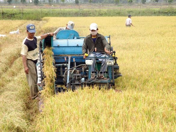 FDI vào nông nghiệp: Dự án ít, vốn thấp 