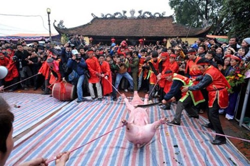 Chính quyền tỉnh Bắc Ninh đang vận động dân làng Ném Thượng bỏ tục chém lợn (ảnh Internet)