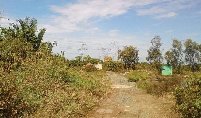 Dự án của Tổng công ty Thái Sơn tại xã Phước Kiển, huyện Nhà Bè, TP.HCM sau nhiều năm triển khai vẫn là bãi đất trống cỏ mọc um tùm. Ảnh: Gia Huy