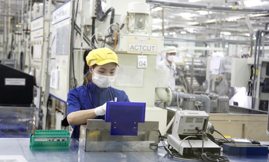 Công ty Hoya Việt Nam, một doanh nghiệp FDI đang hoạt động tại Khu công nghiệp Thăng Long (Hà Nội). Ảnh: Internet