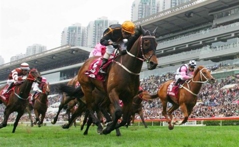Nhà đầu tư Hàn Quốc chạy đua với dự án trường đua ngựa 500 triệu USD 