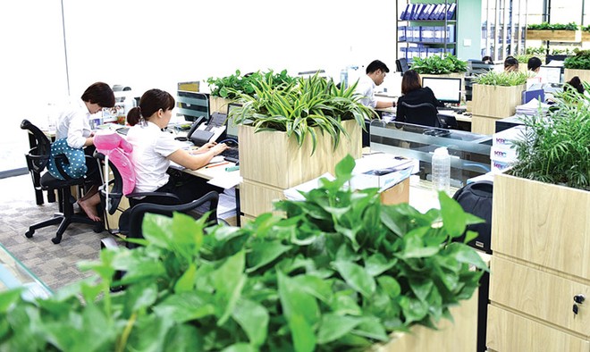 Văn phòng xanh ngoài mảng xanh, yếu tố quan trọng chính là sáng kiến vận hành văn phòng một cách tiết kiệm và hiệu quả. 