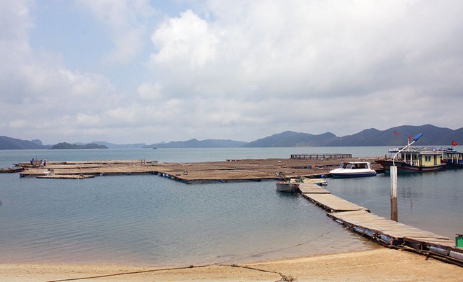 CEO Group đề xuất đầu tư dự án SonaSea Dragon Bay tại Vân Đồn