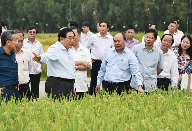 Với chủ trương dành hơn 100.000 tỷ đồng cho vay ưu đãi đầu tư nông nghiệp công nghệ cao, 
Thủ tướng Chính phủ cho rằng, ngành nông nghiệp Việt Nam sẽ khai thác được thế mạnh vốn có 