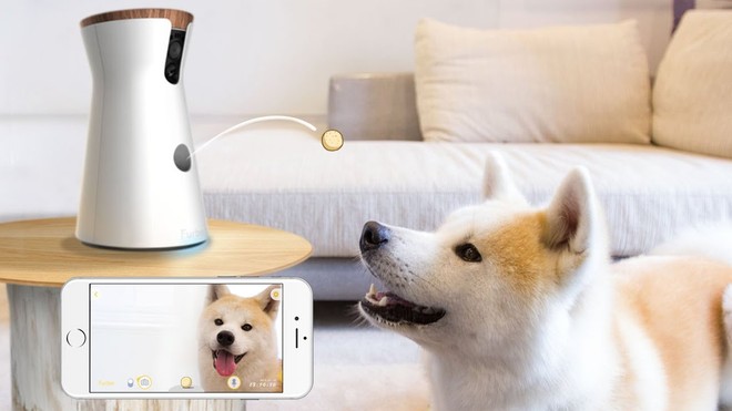 Furbo - camera thông minh cho cún yêu