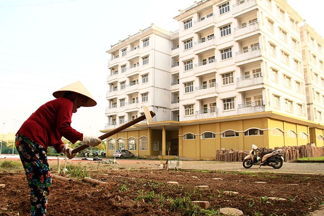 Hà Nội muốn được ủy quyền chủ động thực hiện bố trí thay thế quỹ đất xây dựng nhà ở xã hội cho các dự án nhà ở thương mại không thể bố trí quỹ đất 20%