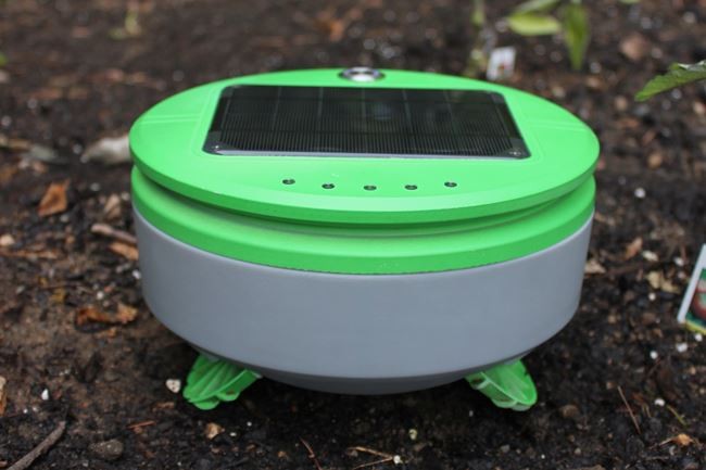 Robot diệt cỏ tự động chạy bằng năng lượng mặt trời