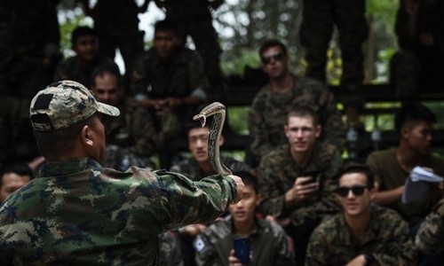 Lính Mỹ, Thái Lan uống máu rắn, ăn bọ cạp