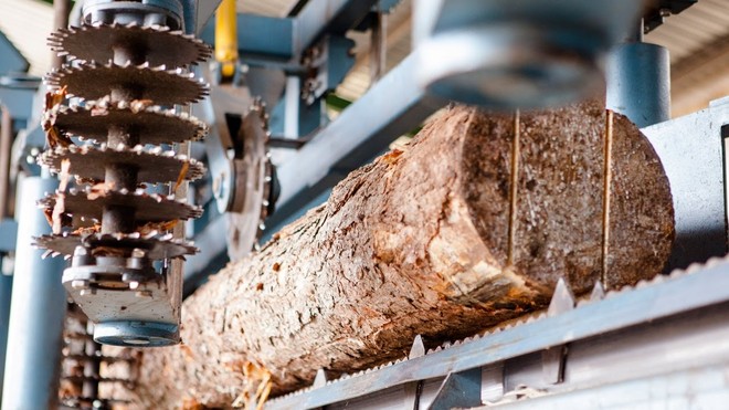 “Nâng cấp” gỗ thành vật liệu cứng hơn cả titan