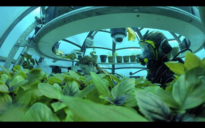 Công nghệ trồng rau dưới đáy biển