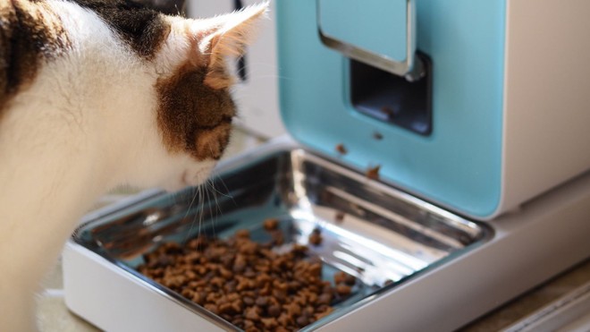 Máy tự động cung cấp thức ăn tươi cho thú cưng khi bạn vắng nhà
