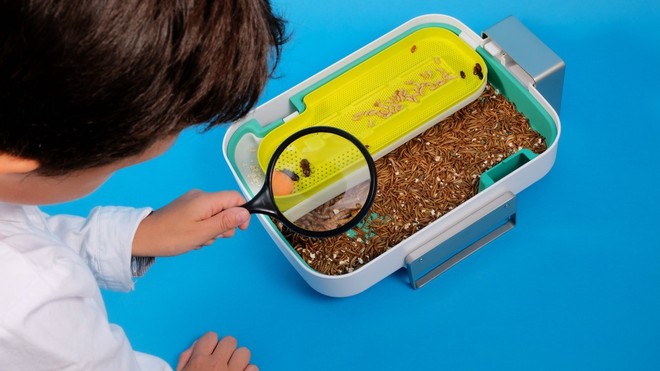 “Trang trại côn trùng” thông minh giúp bạn biến thức ăn thừa thành phân bón ngay tại nhà