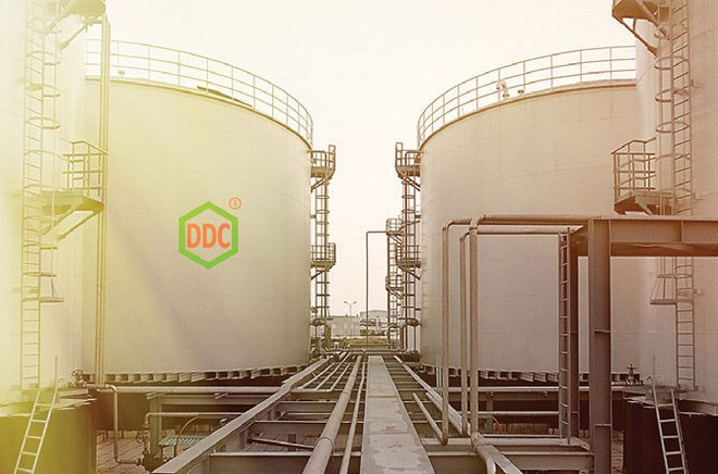 BVSC: DGC tăng mạnh quy mô và hiệu quả