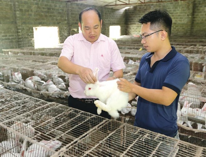 Nhờ nguồn vốn tín dụng chính sách, người dân nghèo ở Ninh Bình có cơ hội chuyển đổi cây trồng và hướng đến chăn nuôi.