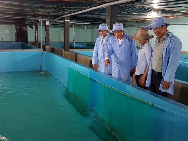 Thứ trưởng Trần Văn Tùng (thứ 2 từ trái qua) kiểm tra dự án nuôi tôm hùm trong bể
Ảnh: Đức Huy
