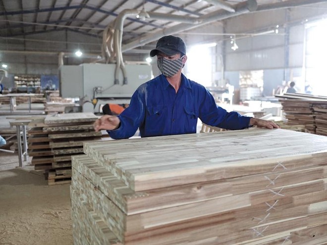 Hiện ngành gỗ Việt Nam có trên 800 doanh nghiệp FDI, trong đó 70% đến từ Trung Quốc, Đài Loan, Hồng Kông… Ảnh: Đức Thanh