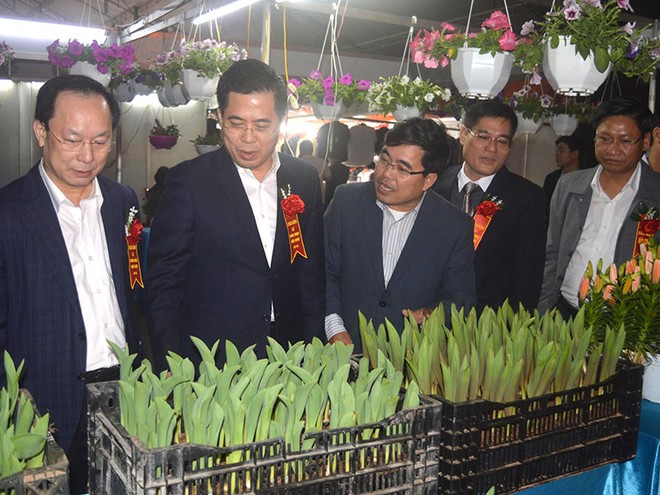 Phó Chủ tịch thường trực UBND tỉnh Thái Bình Nguyễn Hoàng Giang, lãnh đạo Sở Công thương, lãnh đạo UBND TP Thái Bình tham quan gian trưng bày của Trường Trung cấp Nông nghiệp Thái Bình.