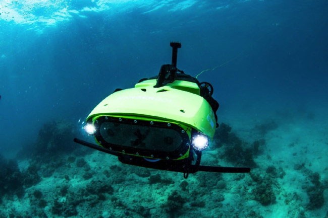 Sử dụng robot để bảo vệ san hô
