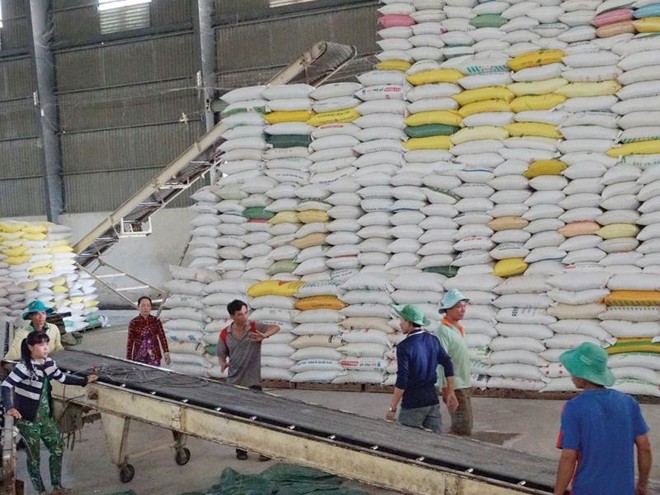 Trong 2 tháng đầu năm, xuất khẩu gạo đạt 900.000 tấn, mang về 410 triệu USD. Ảnh: Đức Thanh