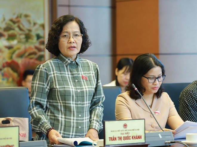 Bà Trần Thị Quốc Khánh, đại biểu Quốc hội hiếm hoi có sáng kiến lập pháp.