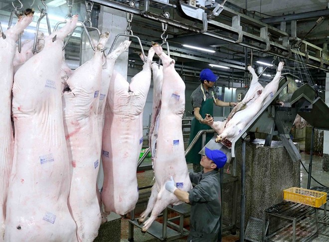 Nguồn cung thiếu hụt là nguyên nhân đẩy giá thịt lợn tăng cao. Quý 1/2020, sản lượng thịt cung ứng ra thị trường giảm 20% so với cùng kỳ.