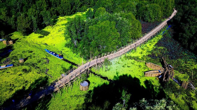 Cầu tre Trà Sư sử dụng trên 500.000 cây tre làm vật liệu để xây dựng
