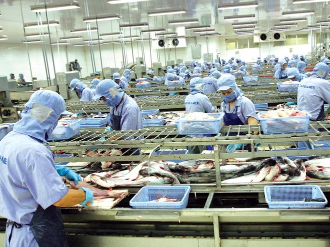 Hàng hóa xuất khẩu của Việt Nam có cơ hội trở lại… bình thường. Trong ảnh: Nhà máy chế biến thủy sản Caseamex tại Cần Thơ.