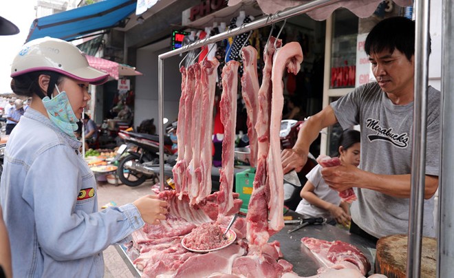 Cục Xuất nhập khẩu (Bộ Công thương), dự báo giá thịt lợn hơi sẽ tiếp tục giảm trong những tuần sắp tới khi nhập khẩu lợn sống từ Thái Lan về Việt Nam tăng.