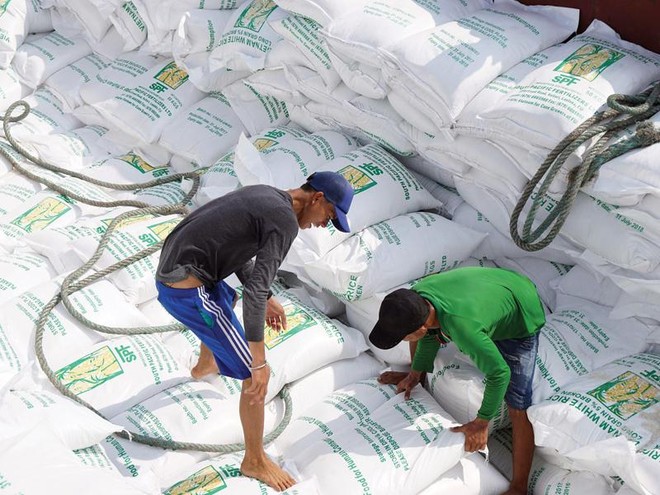 Thực thi EVFTA, EU cam kết dành cho Việt Nam xuất khẩu 80.000 tấn gạo vào thị trường này với thuế suất 0%. Ảnh: Đức Thanh