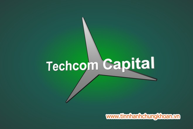 Techcom Capital hủy bổ nhiệm Phó chủ tịch Hội đồng thành viên