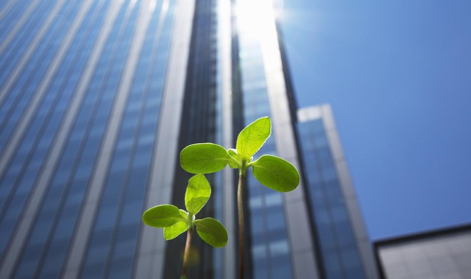 ESG là một bộ tiêu chuẩn để đo lường các yếu tố liên quan đến phát triển bền vững và ảnh hưởng của doanh nghiệp đến cộng đồng. Ảnh: Shutterstock.