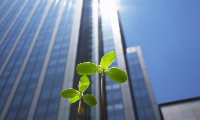 Các tiêu chí ESG tiếp tục đóng vai trò chủ đạo trong quá trình ra quyết định của nhà đầu tư. Ảnh: Shutterstock.