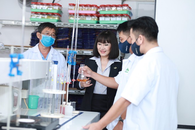 Bà Huỳnh Bích Ngọc cùng cộng sự khảo nghiệm giống mía mới có năng suất cao