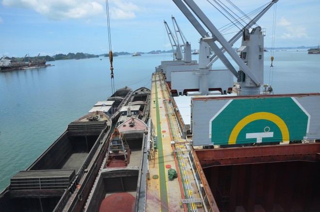 Hòa Phát phải nhập khẩu hơn 1,6 triệu tấn quặng sắt năm 2016
