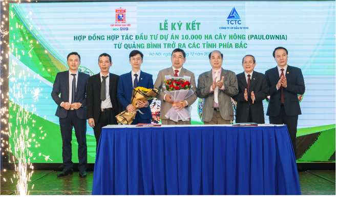 Sơn Đại Việt (DVG) hợp tác đầu tư 10.000 ha cây Hông với TCTC