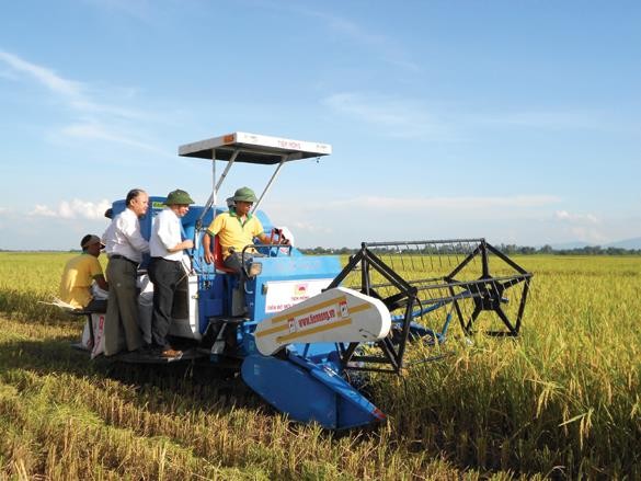 Mặt hàng gạo xuất khẩu của Việt Nam đã sụt giảm cả về khối lượng và giá trị xuất khẩu