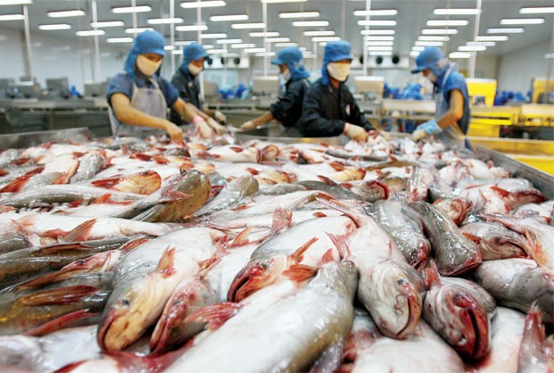 Cơ chế giám sát cá tra, cá basa Việt Nam của Hoa Kỳ là không cần thiết