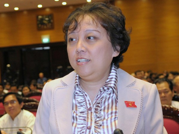 Bà Phạm Khánh Phong Lan, Ủy viên Ủy ban Các vấn đề xã hội của Quốc hội