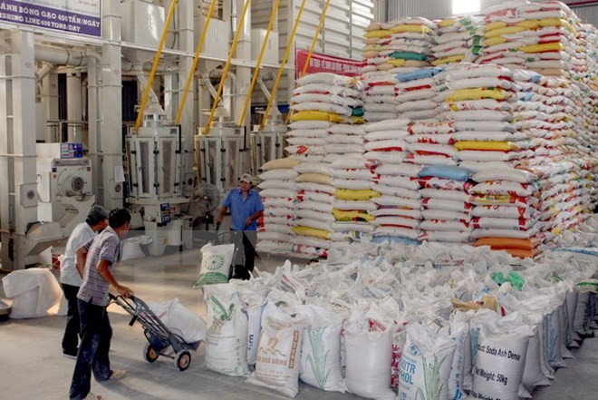 Xuất khẩu gạo Campuchia có thể vượt Việt Nam