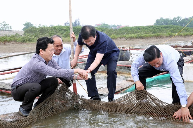 Phó Thủ tướng Trịnh Đình Dũng thị sát việc nuôi trồng thủy sản ở Hà Tĩnh - Ảnh: Chinhphu.vn