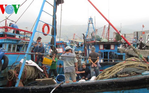 Ngư dân miền Trung điêu đứng vì hiện tượng cá chết hàng loạt