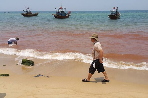Vệt nước màu đỏ kéo dài 1,5 km sát bờ biển Quảng Bình. Ảnh: QH